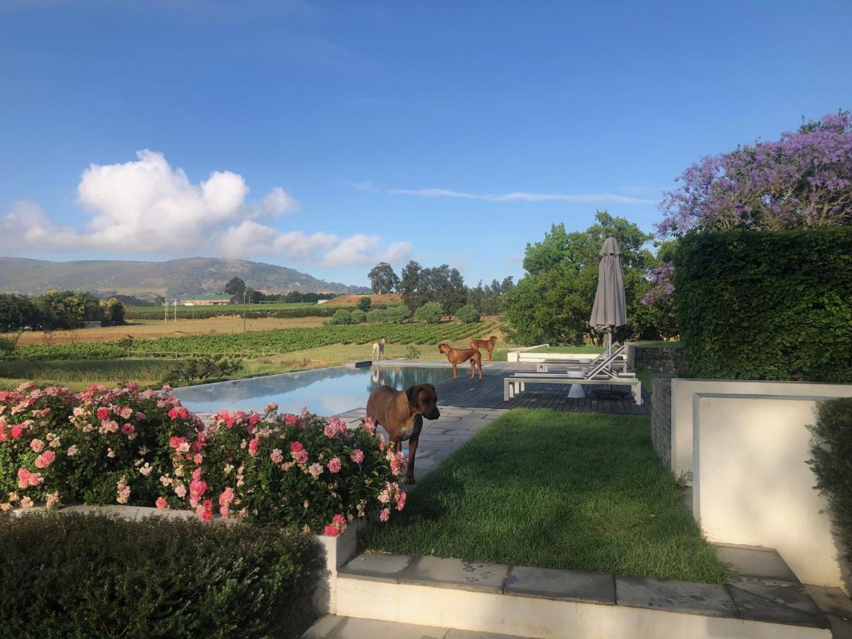 Hotel Tempel Wines Paarl Exteriér fotografie