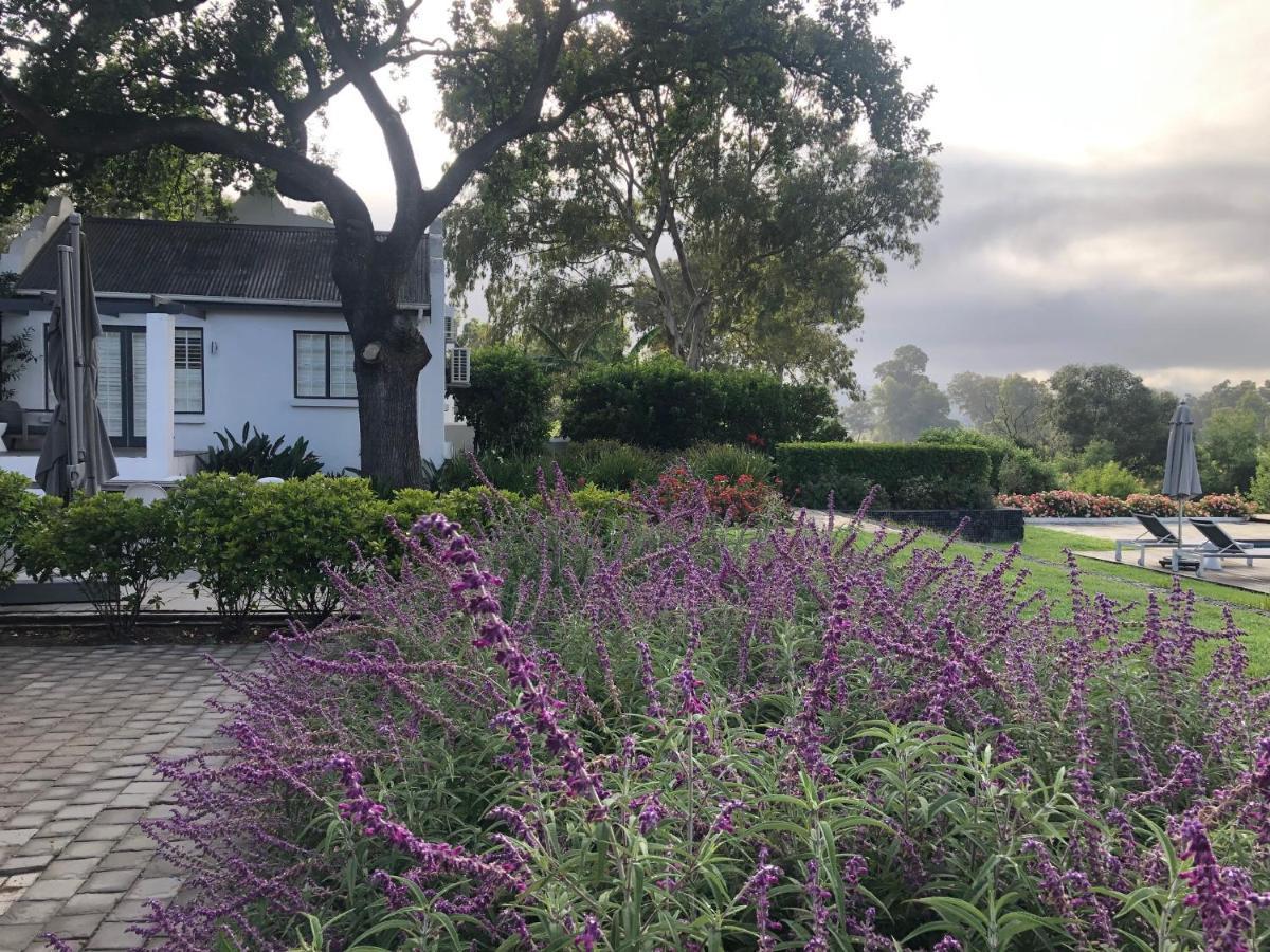 Hotel Tempel Wines Paarl Exteriér fotografie